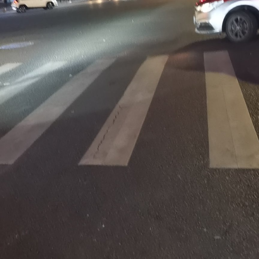 浙江les-温州拉拉-婉卿酒酒511